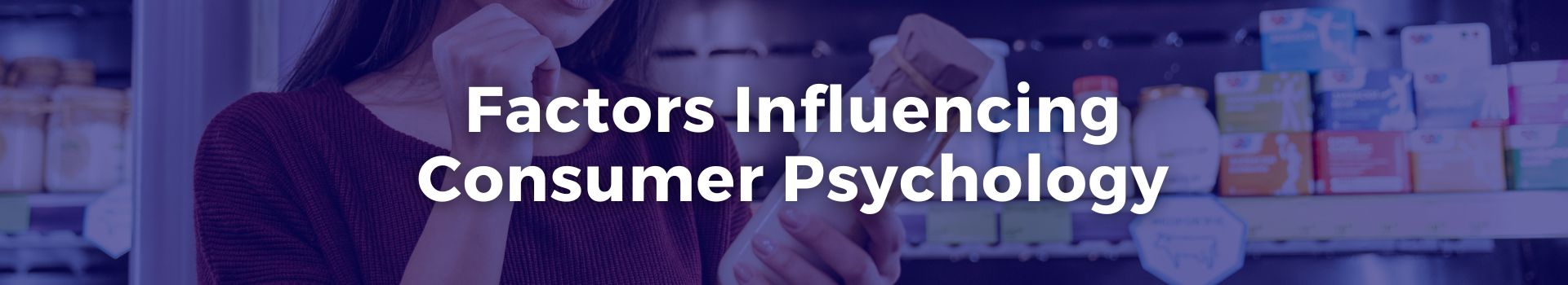 factors-influencing-consumer-psychology-silvana-mici-twenty-two-banner