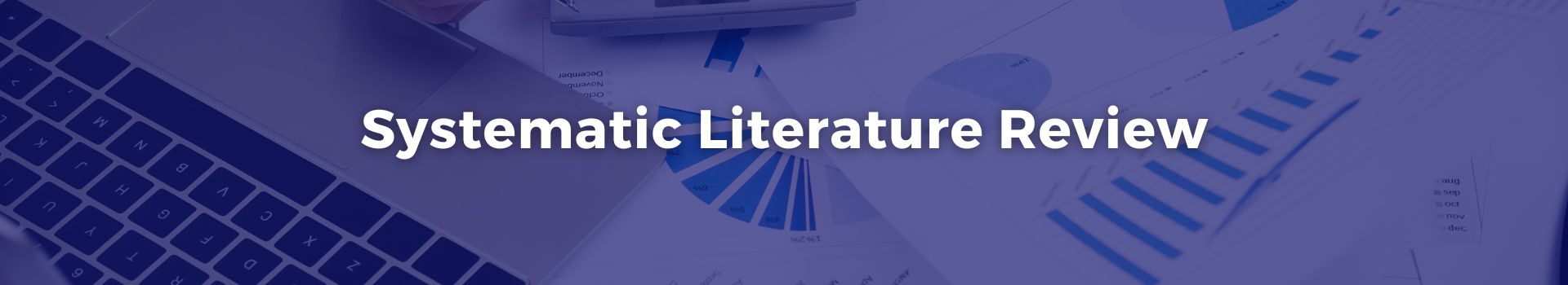 systematic-literature-review-syed-qasim-shah-one-banner