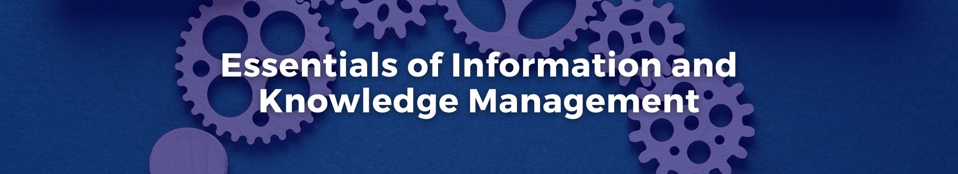 essentials-of-information-and-knowledge-management-muhammad-saghir-eleven-banner