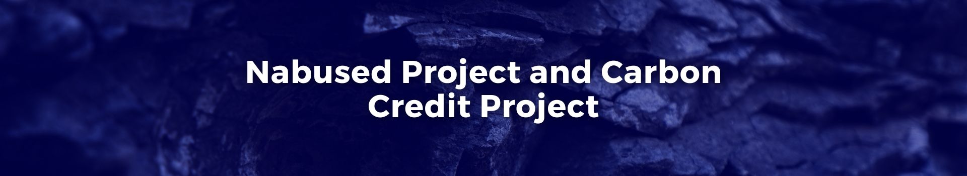 nabused-project-and-carbon-credit-project-niavo-landihajaina-ratsimbazafy-twenty-two-banner