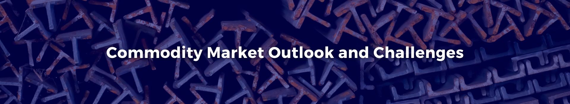 commodity-market-outlook-and-challenges-abdulkadir-dogan-twenty-five-banner