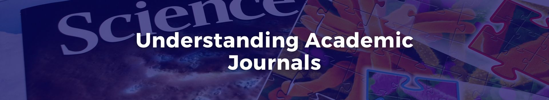 understanding-academi-journals-syed-qasim-shah-two-banner