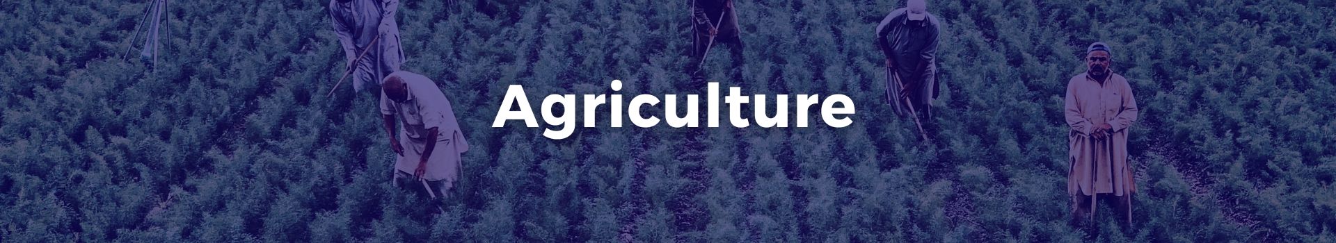 agriculture-niavo-landihajaina-ratsimbazafy-twenty-five-banner