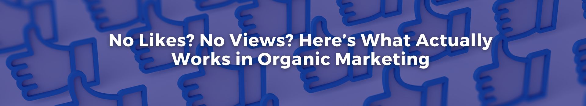 no-likes-no-views-heres-what-actually-works-in-organic-marketing-miri-lenhof-fourteen-banner