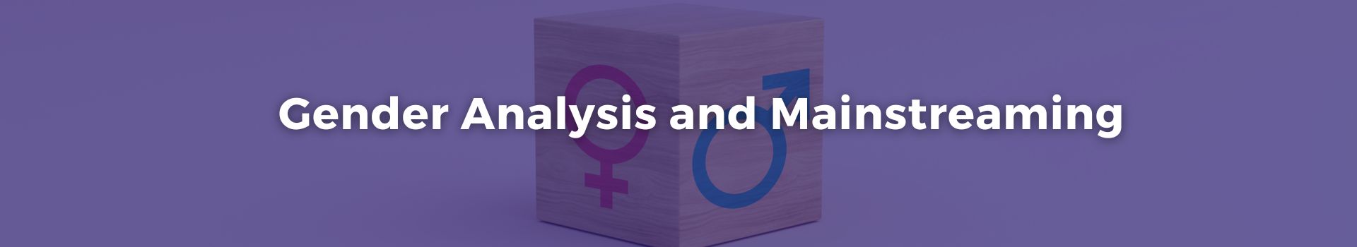 gender-analysis-and-mainstreaming-muhammad-saghir-twenty-four-banner