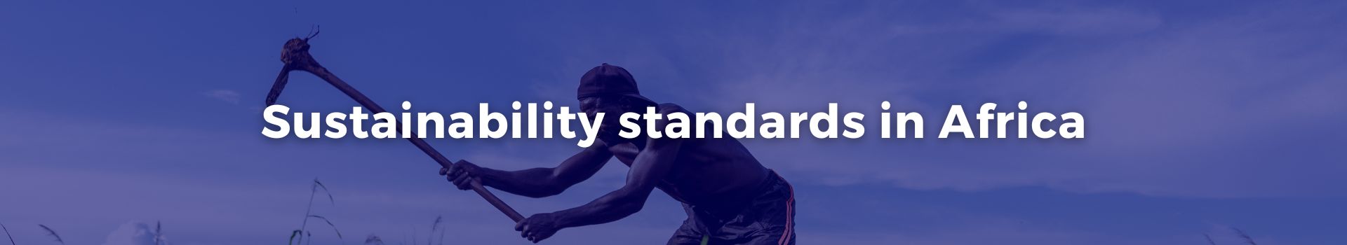 sustainability-standards-in-africa-niavo-landihajaina-ratsimbazafy-twelve-banner