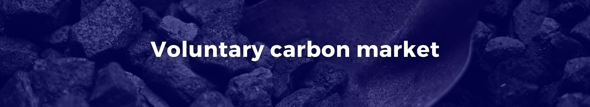 voluntary-carbon-market-niavo-landihajaina-ratsimbazafy-thirty-banner