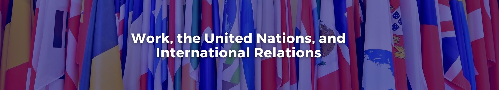 work-the-united-nations-and-international-relations-gonzalo-u-fernandez-nine-banner