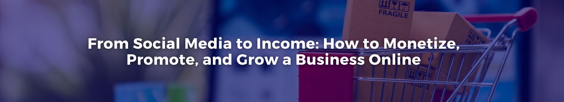 from-social-media-to-income-how-to-monetize-promote-and-grow-a-business-online-jaclyn-baker-sixteen-banner