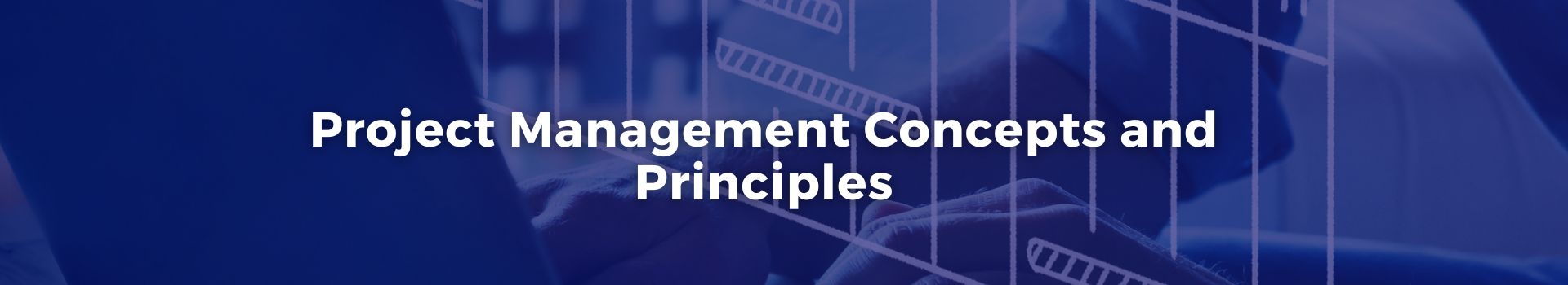 project-management-concepts-and-principles-muhammad-saghir-twenty-eight-banner