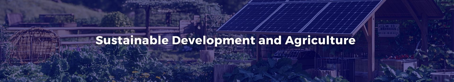 sustainable-development-and-agriculture-niavo-landihajaina-ratsimbazafy-thirteen-banner