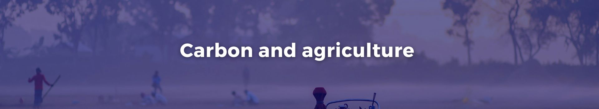 carbon-and-agriculture-niavo-landihajaina-ratsimbazaf-twenty-three-banner