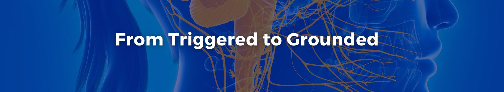 from-triggered-to-grounded-janice-bourbon-twelve-banner