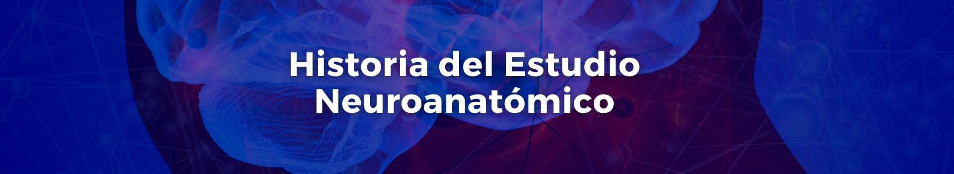 historia-del-estudio-neuroanatomico-tamara-luque-doce-banner