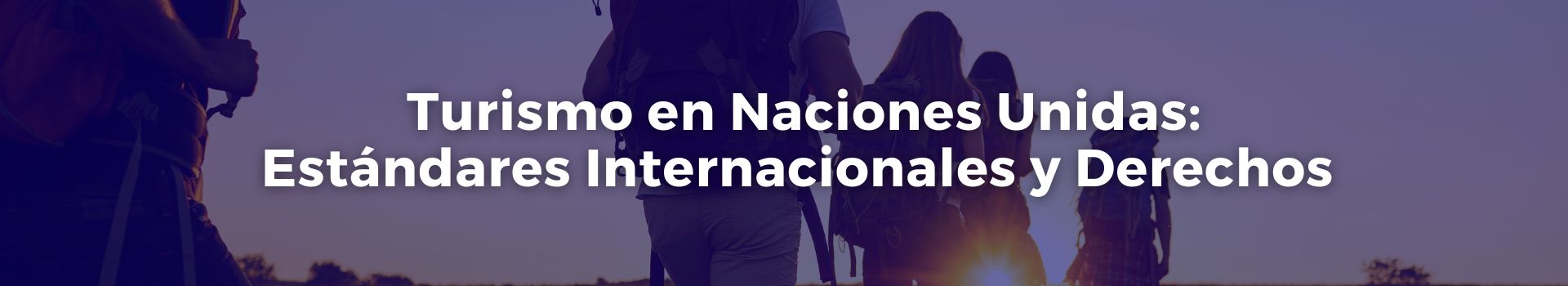 turismo-en-naciones-unidas-estandares-internacionales-y-derechos-gonzalo-u-fernandez-ocho-banner