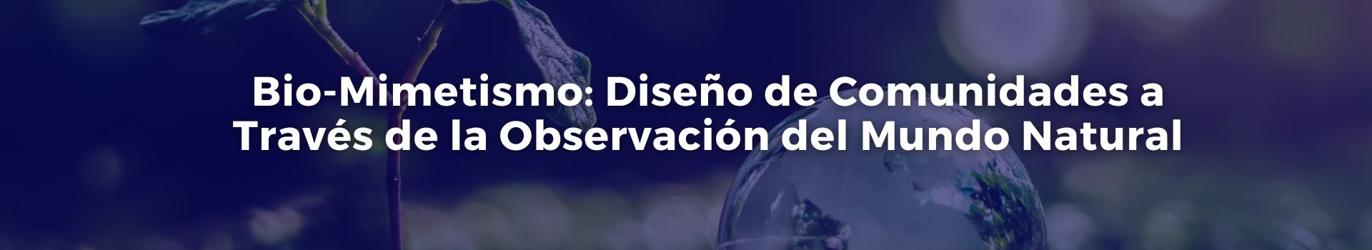bio-mimetismo-diseno-de-comunidades-a-traves-de-la-observacion-del-mundo-natural-tobias-roberts-veinte-banner