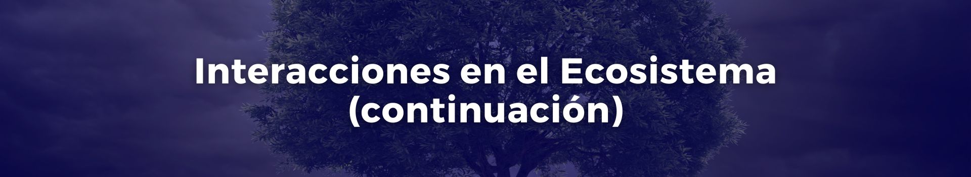 interacciones-en-el-ecosistema-continuacion-carmen-solorzano-treinta-banner