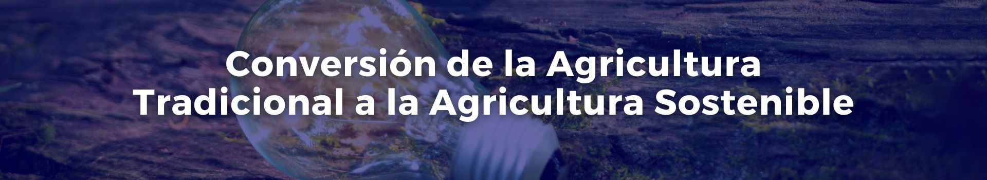 conversion-de-la-agricultura-tradicional-a-la-agricultura-sostenible-carmen-solorzano-veintitres-banner