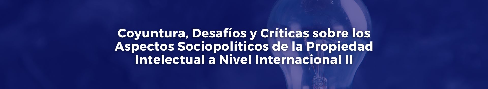 coyuntura-desafios-y-criticas-sobre-los-aspectos-sociopoliticos-de-la-propiedad-intelectual-a-nivel-internacional-two-gonzalo-u-fernandez-dieciocho-banner