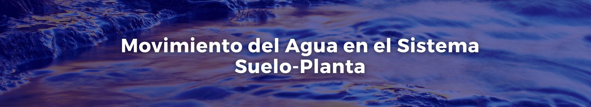 movimiento-del-agua-en-el-sistema-suelo-planta-carmen-solorzano-siete-banner