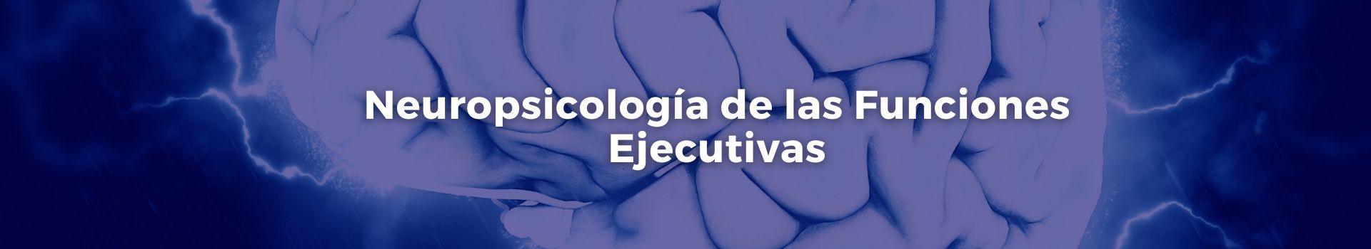 neuropsicologia-de-las-funciones-ejecutivas-tamara-luque-veintisiete-banner