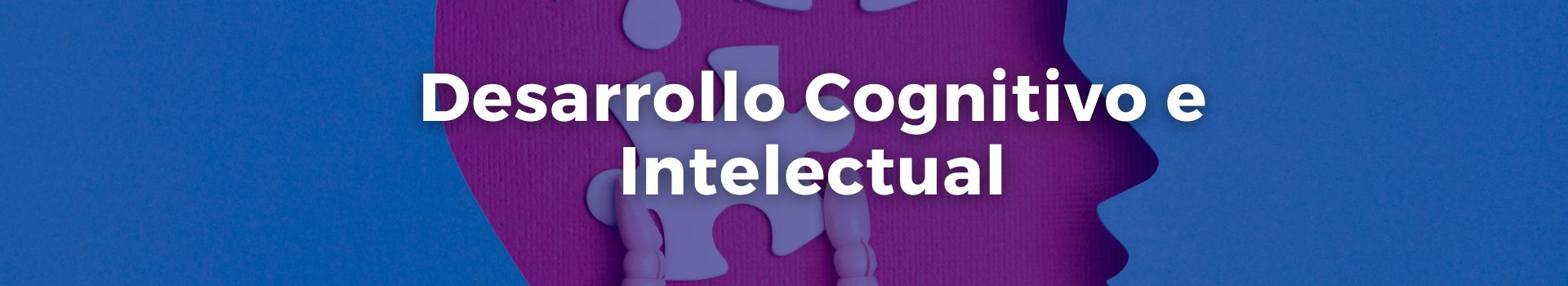 desarrollo-cognitivo-e-intelectual-tamara-luque-veintitres-banner