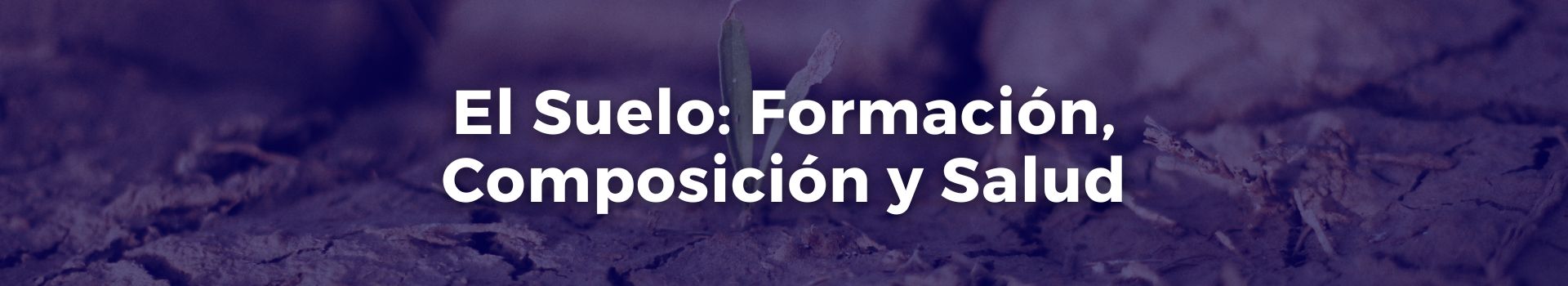 el-suelo-formacion-composicion-y-salud-carmen-solorzano-nueve-banner