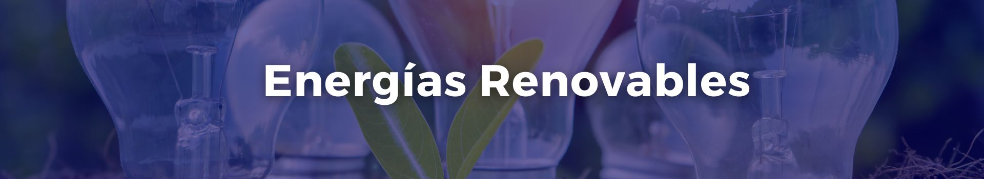 energias-renovables-luis-aliaga-dieciseis-banner