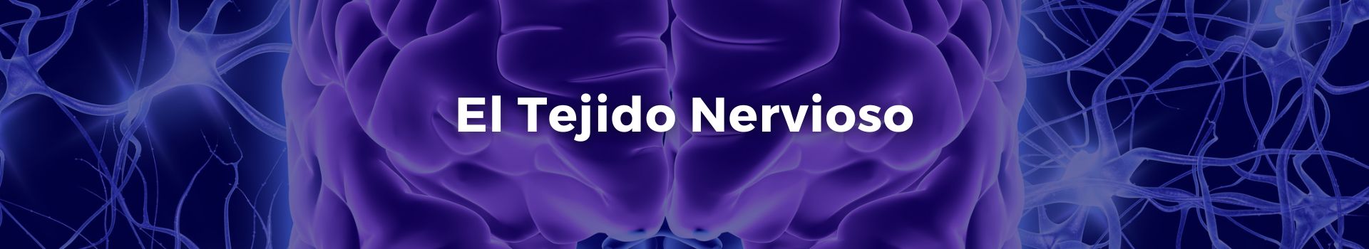 el-tejido-nervioso-tamara-luque-cuenca-veintiseis-banner