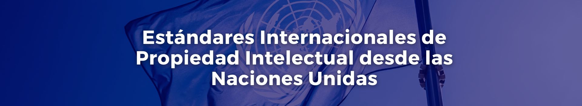 estandares-internacionales-de-propiedad-intelectual-desde-las-naciones-unidas-gonzalo-u-fernandez-nueve-banner