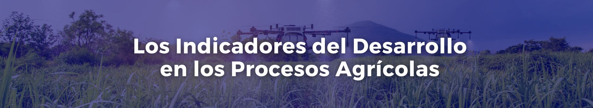 los-indicadores-del-desarrollo-en-los-procesos-agricolas-carmen-solorzano-tres-banner