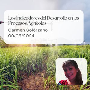 los-indicadores-del-desarrollo-en-los-procesos-agricolas-carmen-solorzano-tres