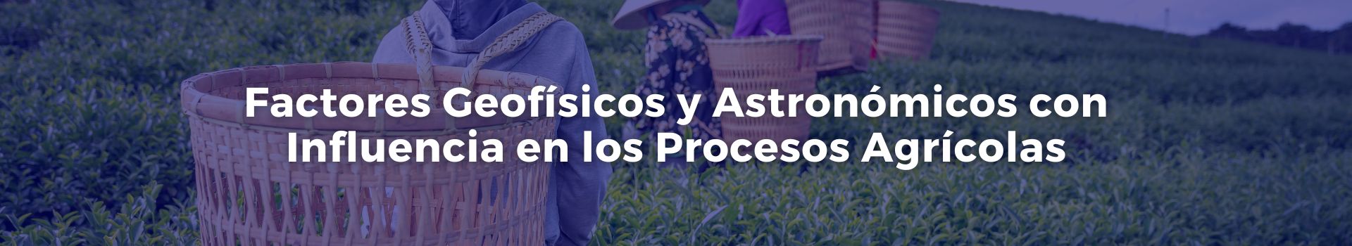 factores-geofisicos-y-astronomicos-con-influencia-en-los-procesos-agricolas-carmen-solorzano-veinticuatro-banner