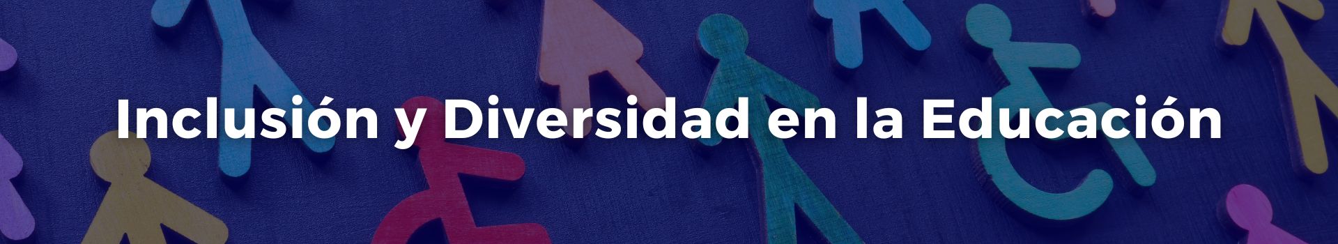 inclusion-y-diversidad-en-la-educacion-daniela-carrillo-diecisiete-banner