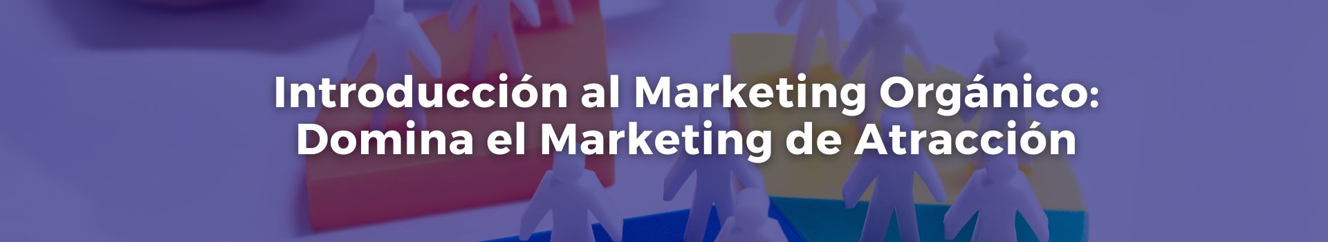 introduccion-al-marketing-organico-domina-el-marketing-de-atraccion-miri-lenhof-ocho-banner