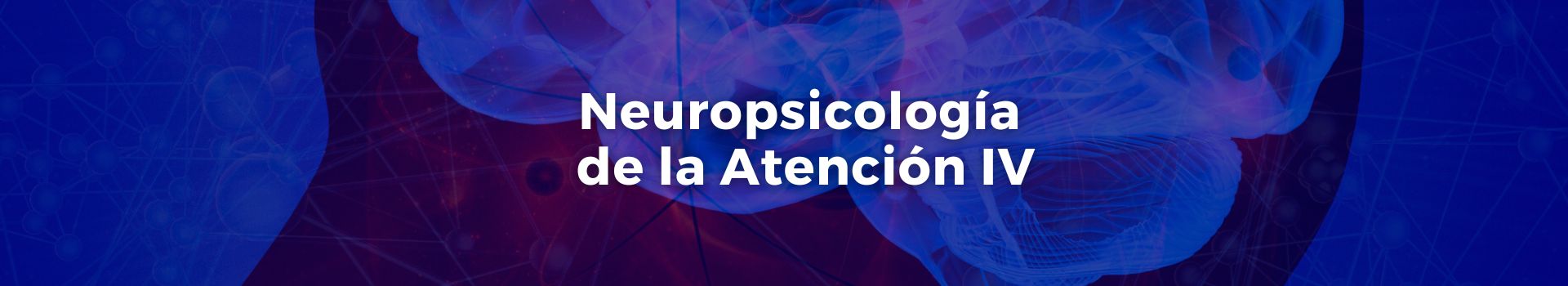 neuropsicologia-de-la-atencion-cuatro-tamara-luque-veintiocho-banner