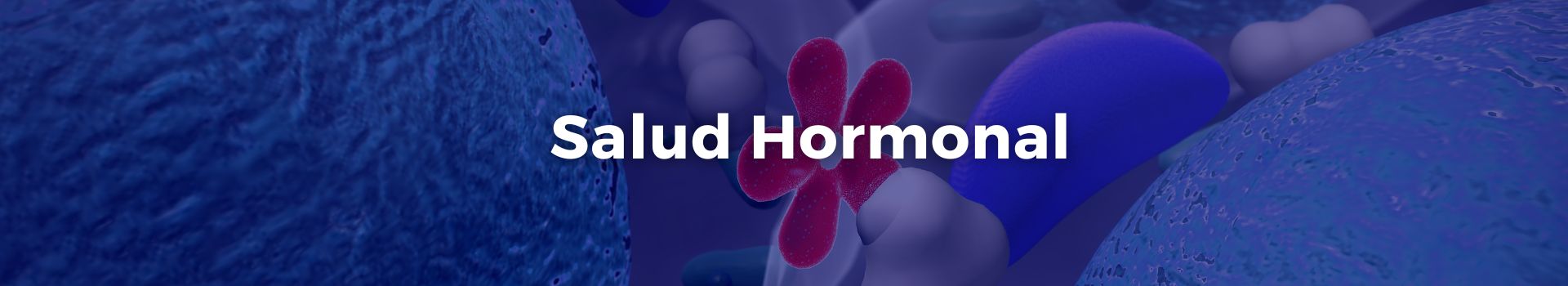 salud-hormonal-leticia-lorena-veintinueve-banner