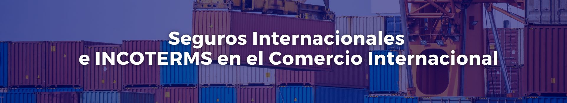 seguros-internacionales-e-incoterms-en-el-comercio-internacional-gonzalo-u-fernandez-quince-banner