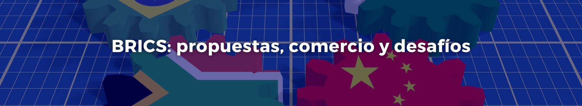 brics-propuestas-comercio-y-desafios-gonzalo-u-fernandez-trece-banner