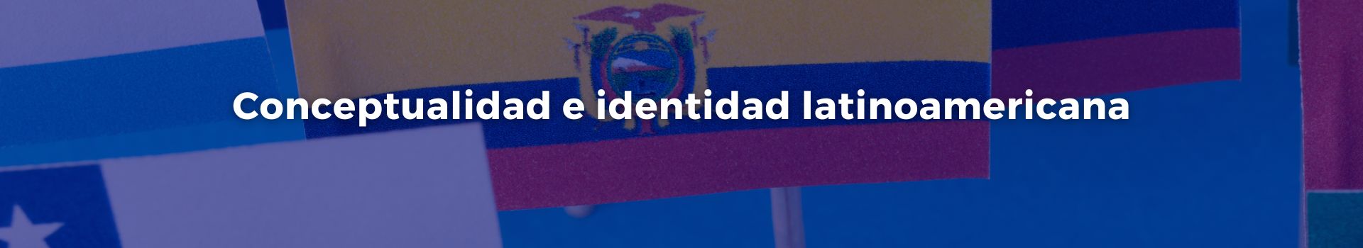 conceptualidad-e-identidad-latinoamericana-manuel-a-patino-catorce-banner