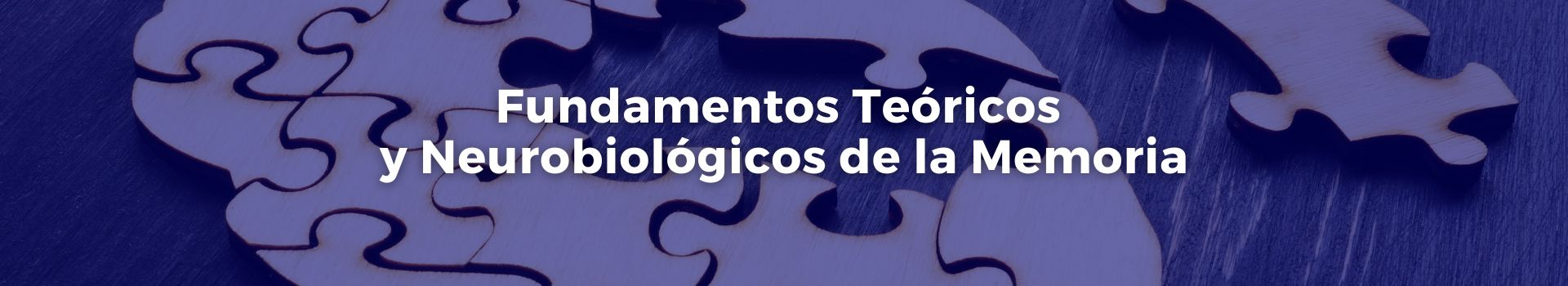 fundamentos-teoricos-y-neurobiologicos-de-la-memoria-tamara-luque-doce-banner