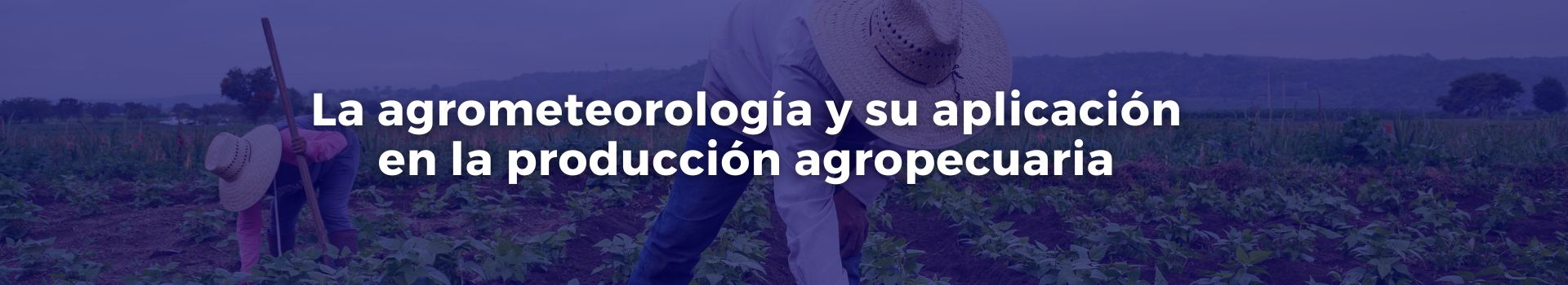 la-agrometeorologia-y-su-aplicacion-en-la-produccion-agropecuaria-carmen-solorzano-uno-banner