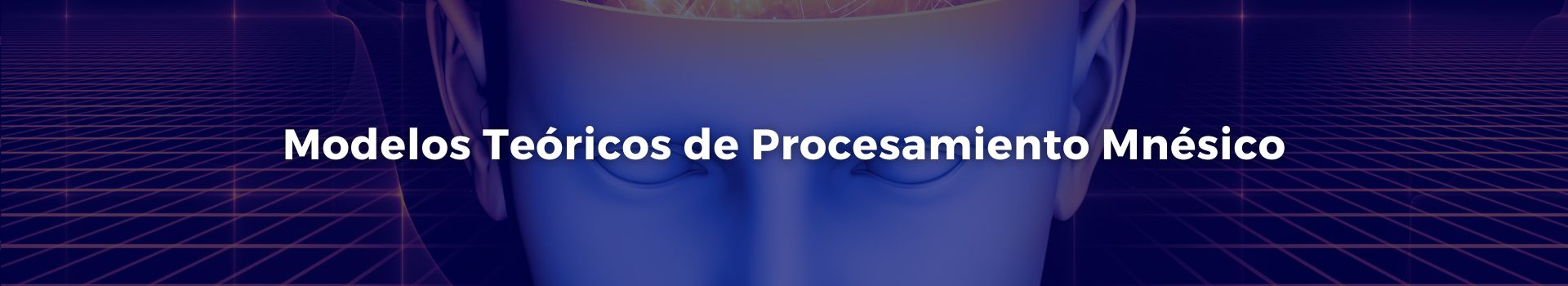 modelos-teoricos-de-procesamiento-mnesico-tamara-luque-cuenca-veinticinco-banner