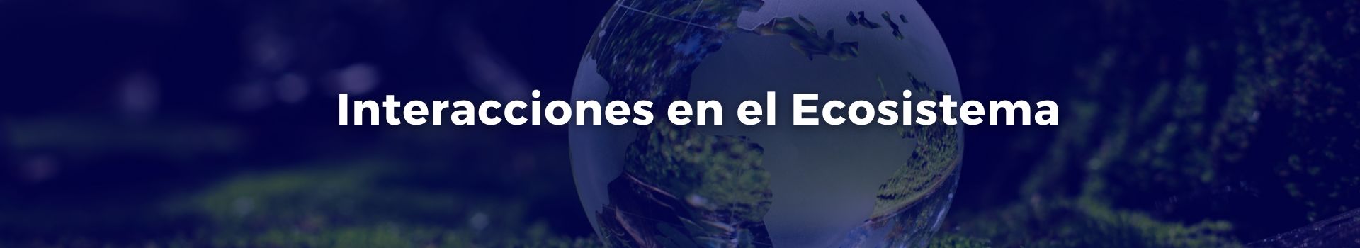 interacciones-en-el-ecosistema-carmen-solorzano-dieciseis-banner
