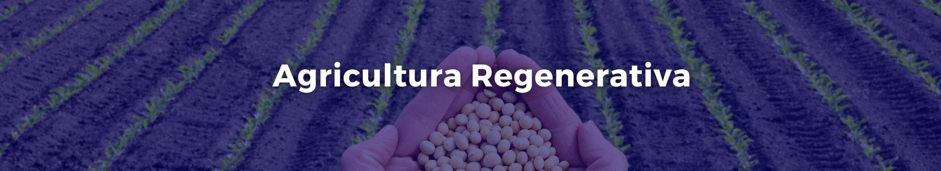 agricultura-regenerativa-carmen-solorzano-veintisiete-banner