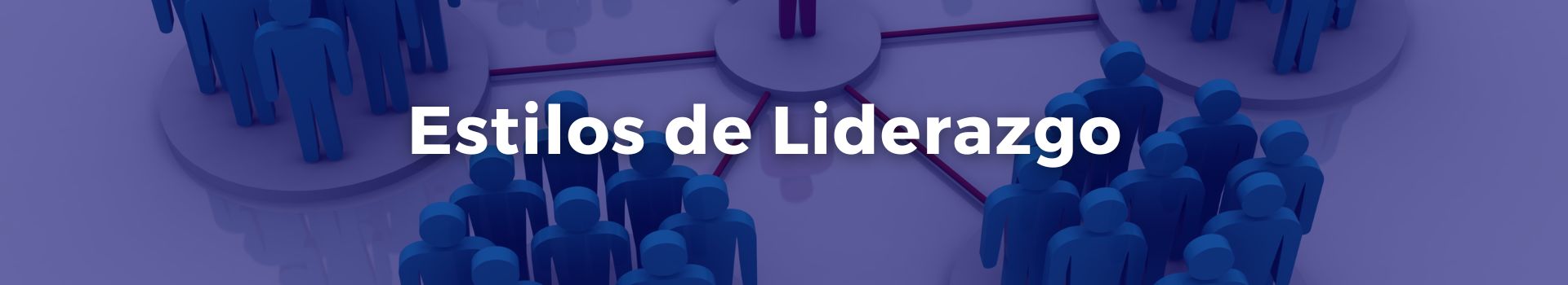 estilos-de-liderazgo-maria-del-pilar-cepeda-mendez-tres-banner