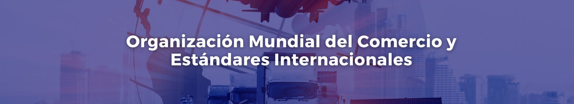 organizacion-mundial-del-comercio-y-estandares-internacionales-gonzalo-u-fernandez-veintiuno-banner