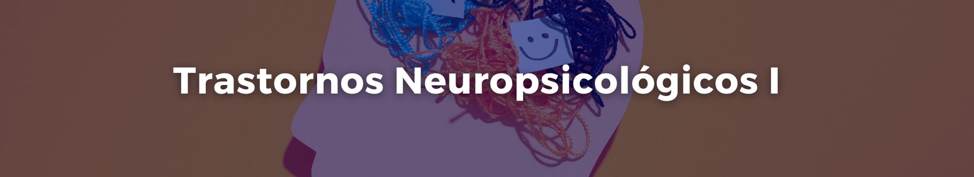 trastornos-neuropsicologicos-uno-tamara-luque-cinco-banner