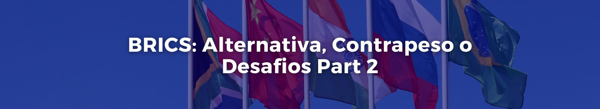 brics-alternativa-contrapeso-o-desafio-gonzalo-u-fernandez-treinta-banner