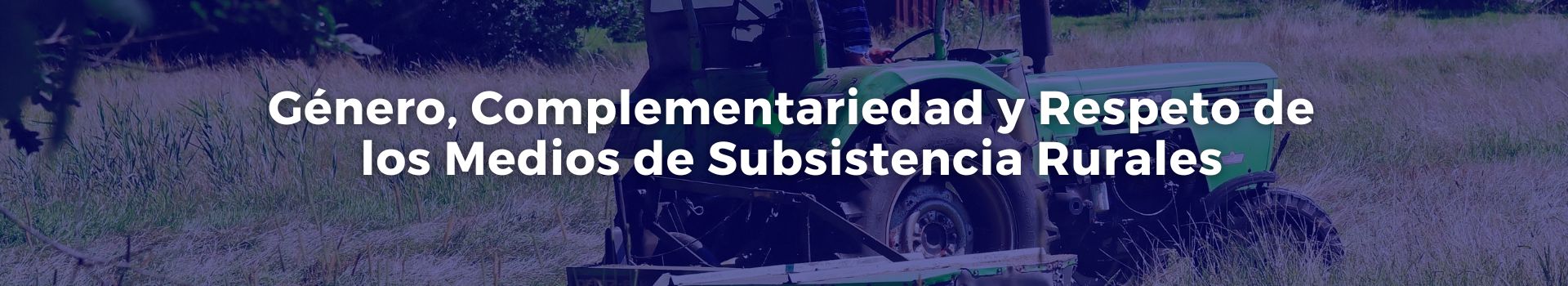 genero-complementariedad-y-respeto-de-los-medios-de-subsistencia-rurales-tobias-roberts-veinticuatro-banner